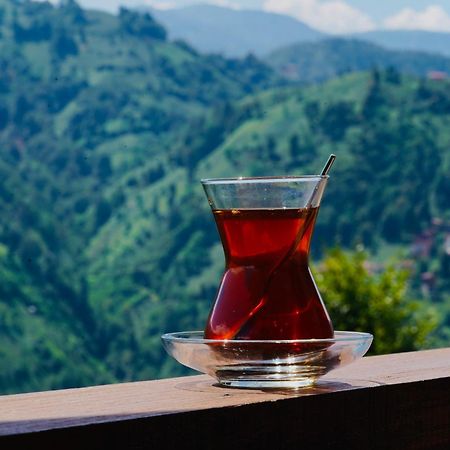 Pathika Bungalov Çamlıhemşin Eksteriør billede